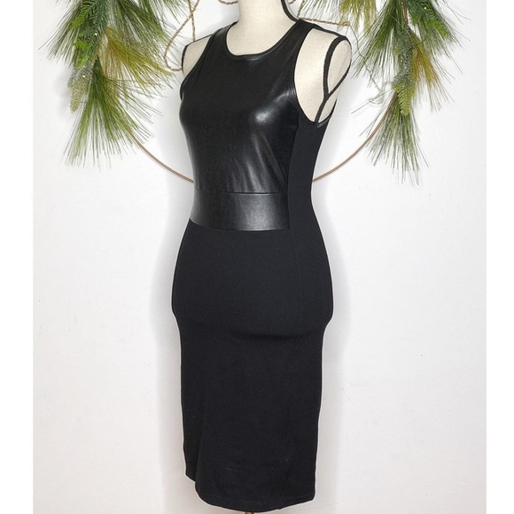 Aritzia Wilfred Free Elin Faux Leather Dress - Picture 4 of 7